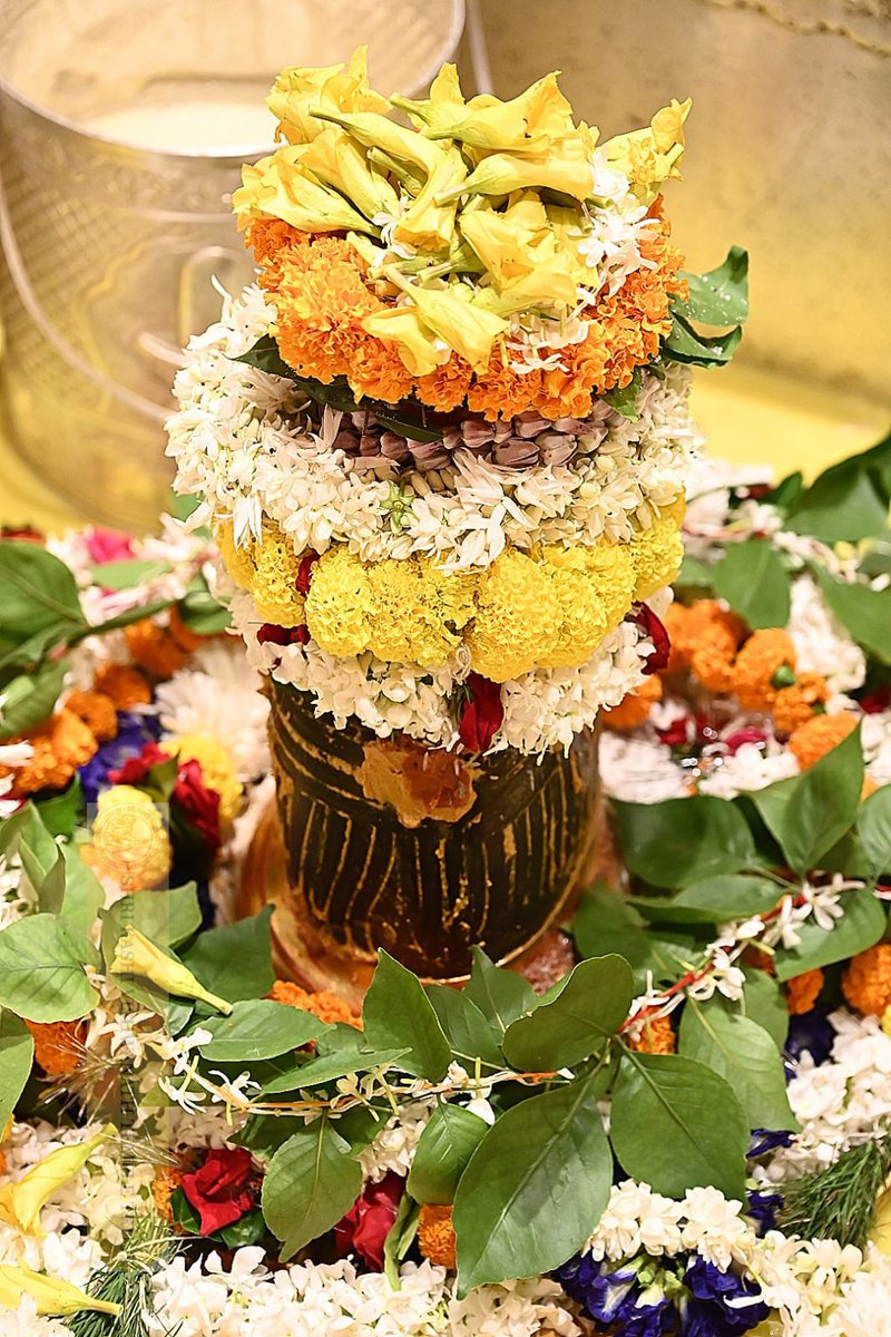 ShriVishwanath's tweet photo. श्री काशी विश्वनाथ जी की सप्तऋषि आरती I https://t.co/9MIMxRrCzL