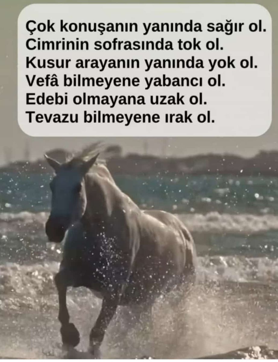 Salihaavci06's tweet photo. https://t.co/yTAkpcnIGL