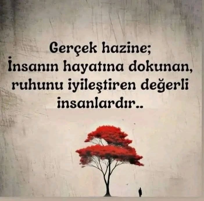 Salihaavci06's tweet photo. https://t.co/lYoKdUwNZL