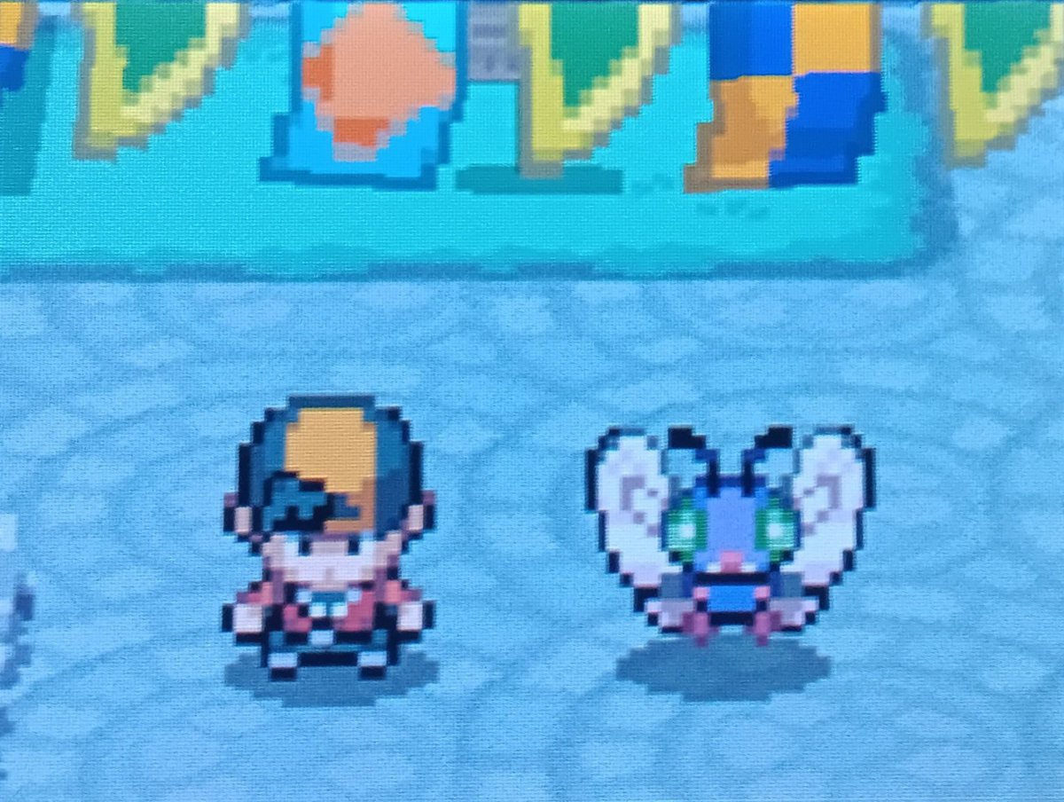 LeafCruz20's tweet photo. My first Shiny Bug-Catching Contest!! Shiny Butterfree on a Tuesday!! 🦋
#ShinyPokemon #PokemonHGSS #Butterfree #BugCatchingContest🐛 #PKMNSportBall #PokemonBank https://t.co/f31anXSu08
