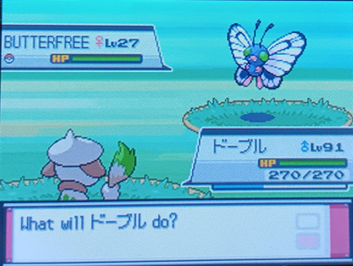 LeafCruz20's tweet photo. My first Shiny Bug-Catching Contest!! Shiny Butterfree on a Tuesday!! 🦋
#ShinyPokemon #PokemonHGSS #Butterfree #BugCatchingContest🐛 #PKMNSportBall #PokemonBank https://t.co/f31anXSu08