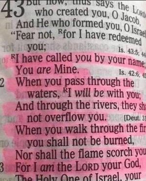 godsbailout's tweet photo. Be creative in setting goals!
Set goals that help create long term results that will improve your life,
But be flexible enough to allow #God editing rights over goals you set,cause He may have another plan!
#setgoals
#oldgoalsnotworking
#tiredoftrying
#workathome https://t.co/gWavQeYEsM