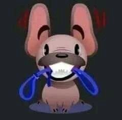 MVvnik's tweet photo. yo cuando me da atencion y cariño: https://t.co/DudUyRNoMd