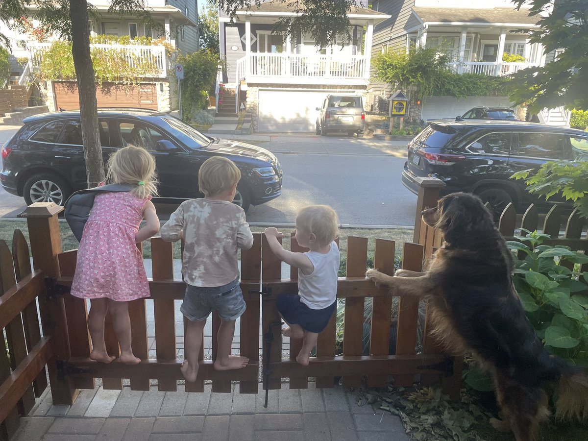 StuWalters_'s tweet photo. Doggy heaven has welcomed our distinguished good boy, Lenny

Always by our side for adventures since arriving from Mexico in 2015. A loyal wise soul, when suburbia &amp; kids came he embraced his new role even though his toddler sister told people he was from costco

We’re so lucky❤️‍🩹 https://t.co/3U7d5H5hnd