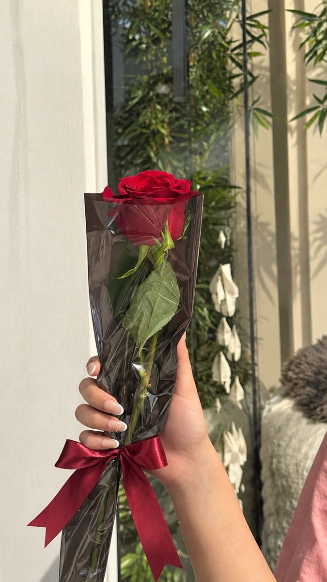 rerelypse's tweet photo. 6 October 🦢💞✨ https://t.co/aG7tsTszBV