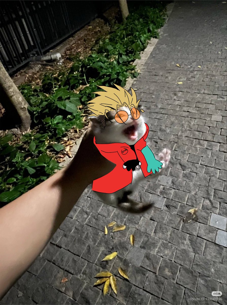 holdmagun's tweet photo. Oh no… https://t.co/it6yBbdmqX