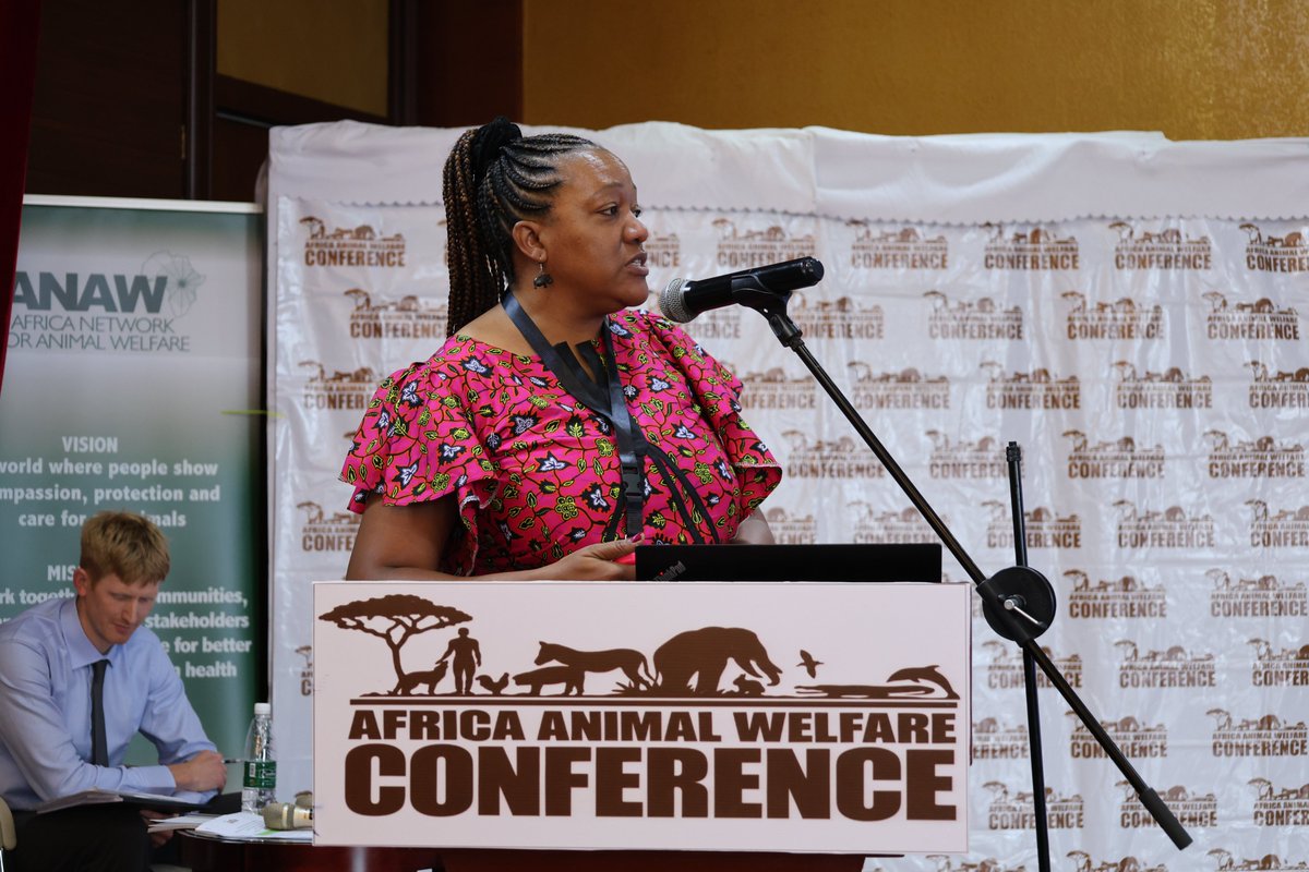 AAWConference's tweet photo. A special acknowledgement to our Day 2 moderators! 

Naomi Higham, Working Animals International; Wachira Kariuki, Africa Network for Animal Welfare; Dr. Ntombi B. Mudenda, University of Zambia; Zack Strong, Animal Welfare Institute; Samuel Theuri, The Brooke – East Africa.

#AAWC2026 #AAWCZambia #AnimalWelfare #ClimateAction #SustainableDevelopment #AAWCLusaka