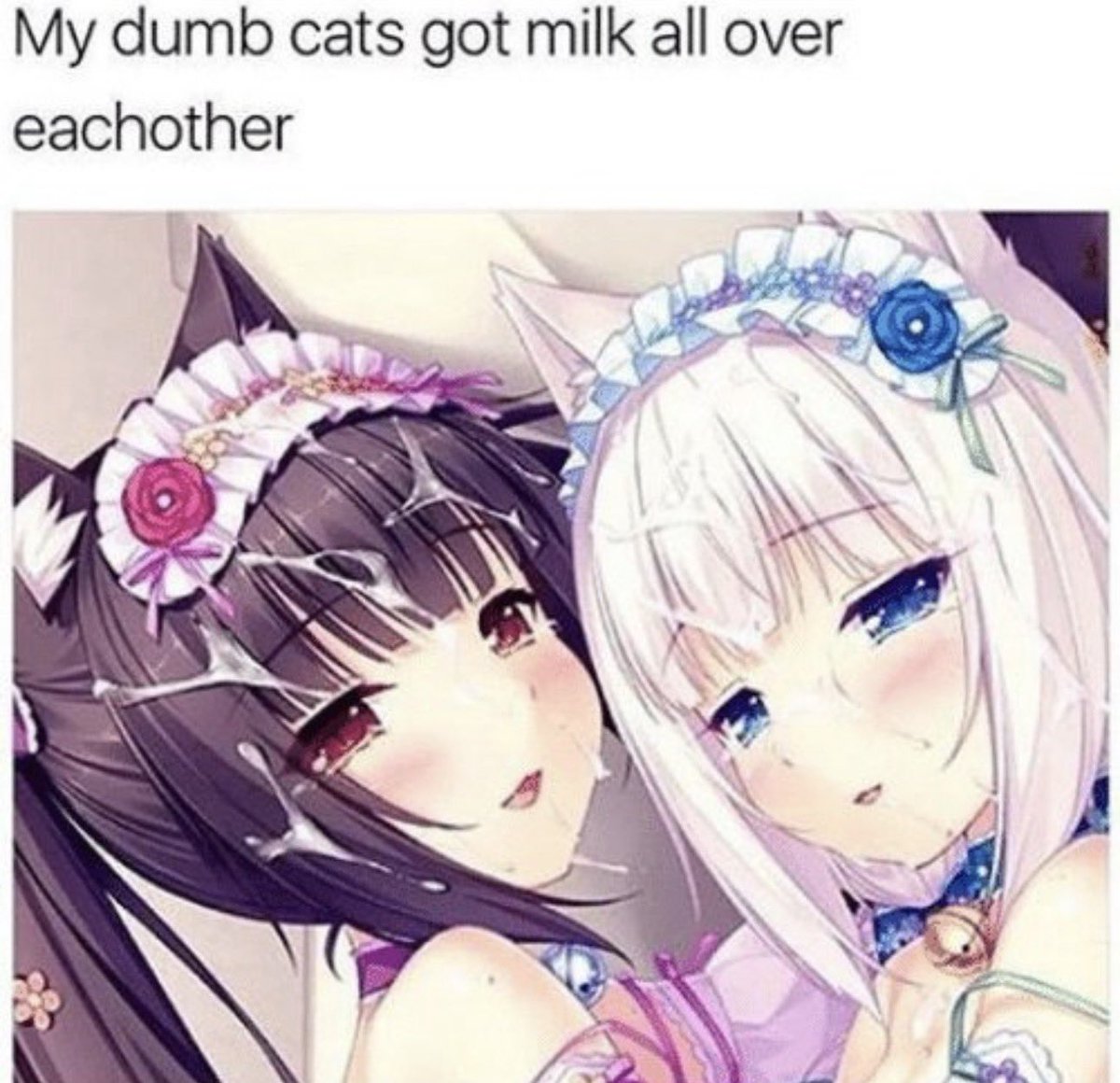 kittyplled's tweet photo. https://t.co/4UAqfJdJOr