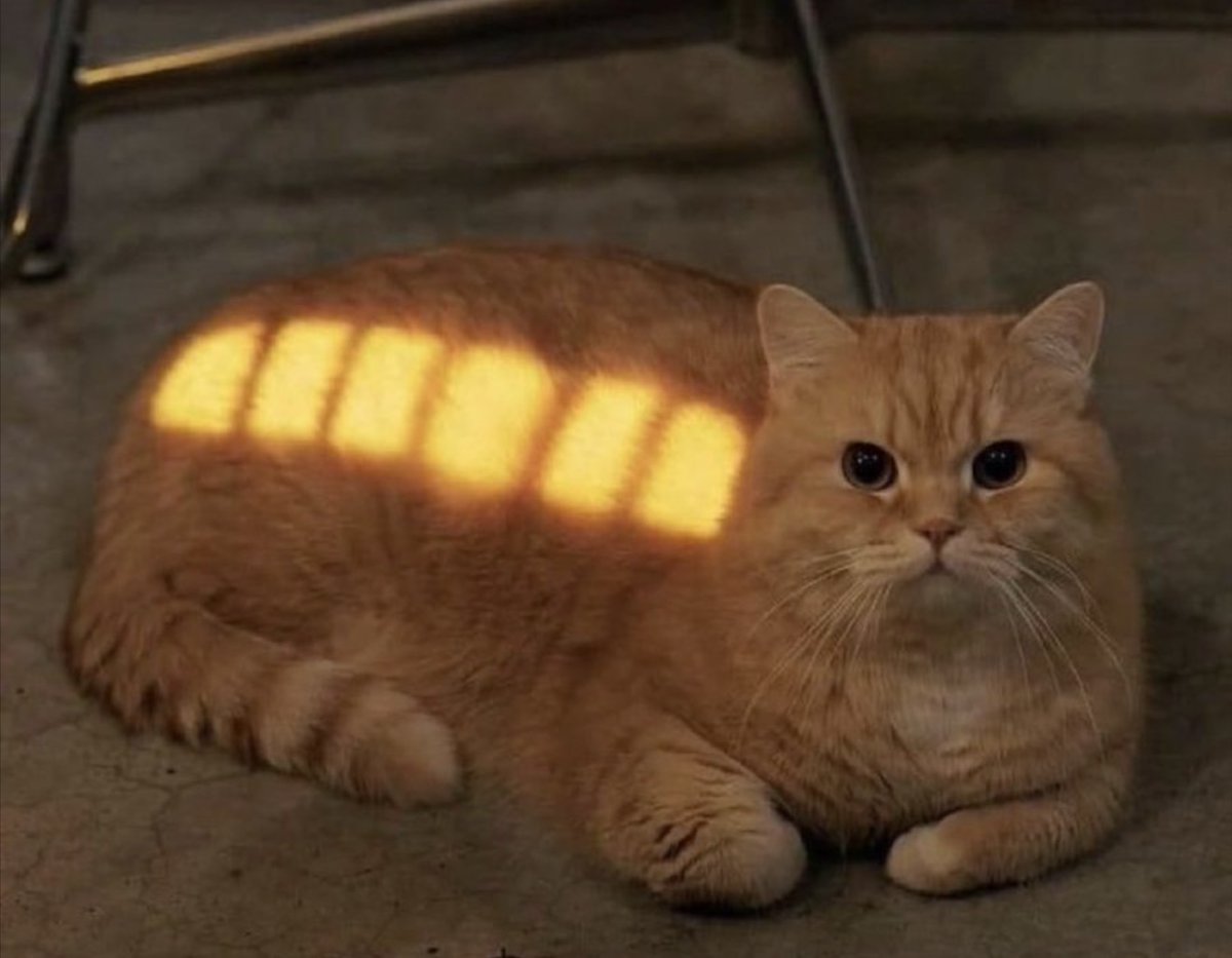 NoContextHumans's tweet photo. He’s fully charged. https://t.co/wSzUPIlz0e
