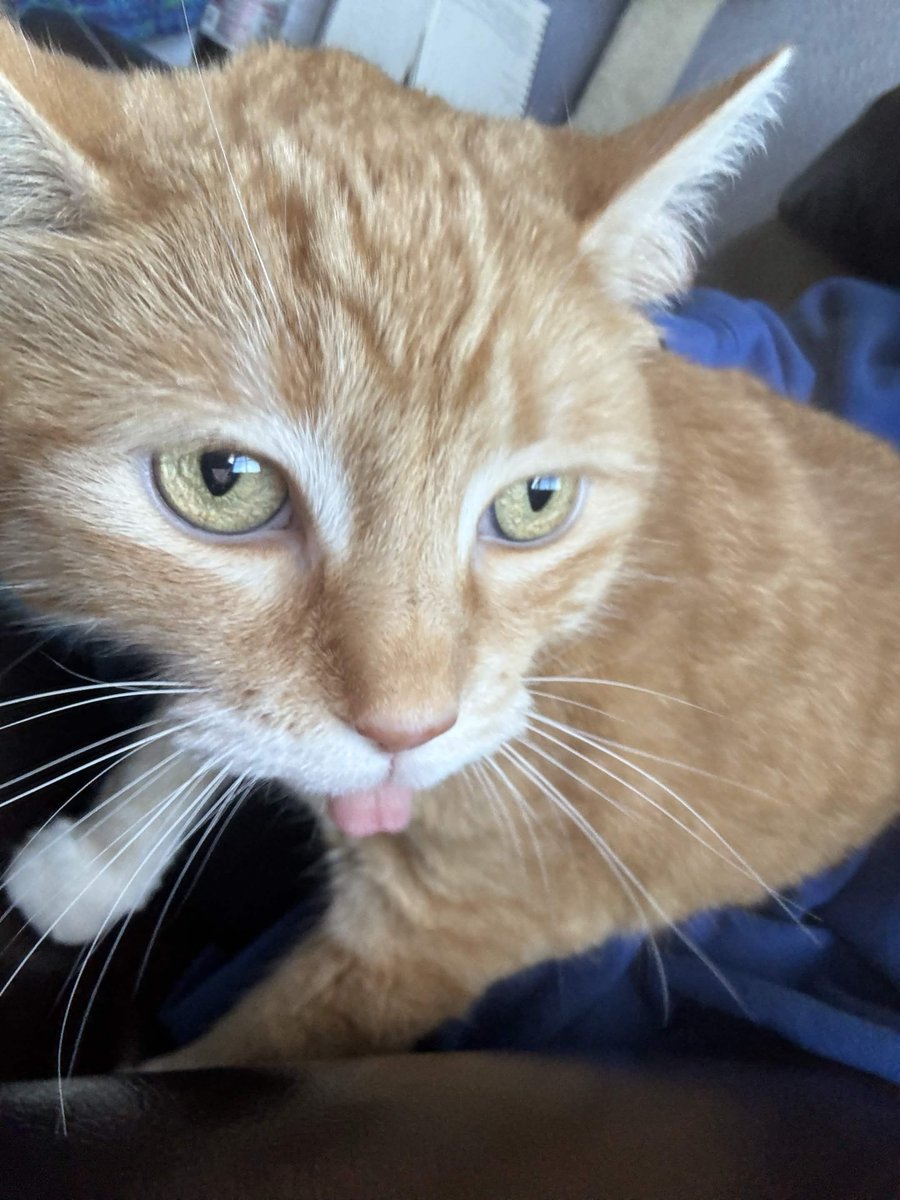 evxnexxnce's tweet photo. goodmorning guys https://t.co/xB6xcZ9euA