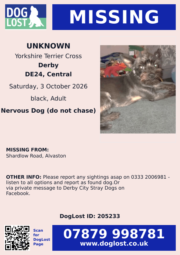 millypod1's tweet photo. ๐3 OCT 2026 #Lost #ScanMe
Yorkie x Chihuahua Female
Shardlow Road #Alvaston #DE24
#Derby #Derbyshire
Sightings โ๏ธ0333 2006981 - listen to all options and report as found dog. Or via private message to Derby City Stray Dogs on Facebook.
https://t.co/39QcJheZMB https://t.co/oDbSyyWgcf