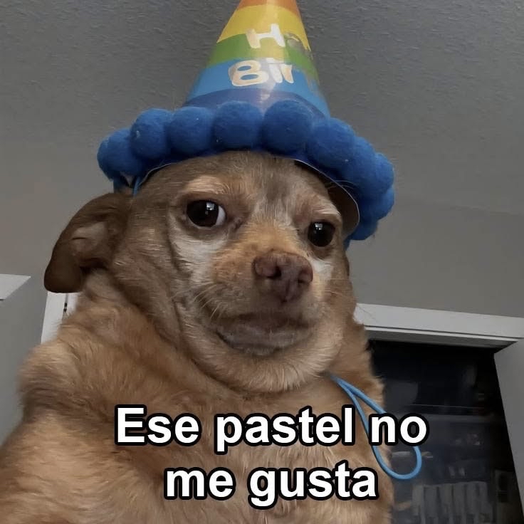Guarromantico_'s tweet photo. Yo en un cumpleaños ajeno: https://t.co/tPIuiEBwpP