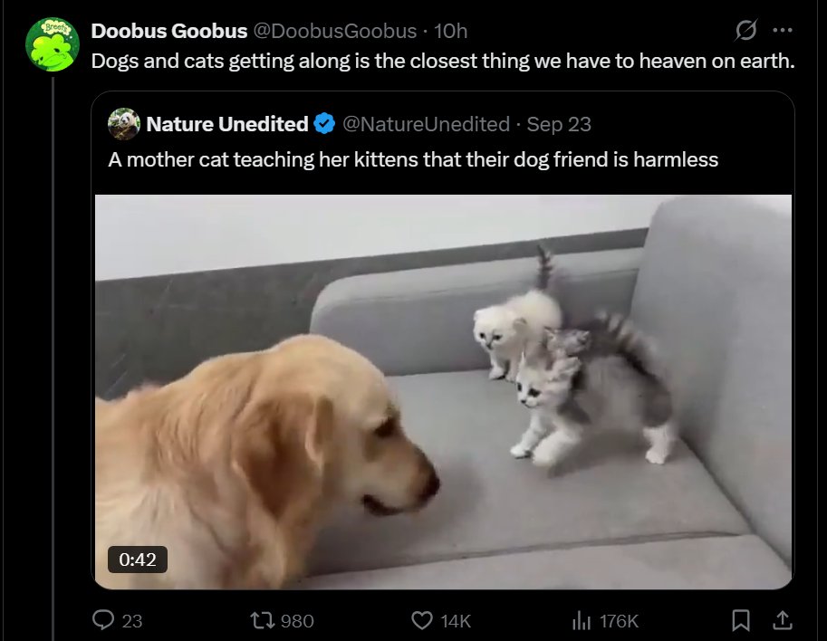 DoobusGoobus's tweet photo. Me wanting to send a nice, actually positive tweet at 3 AM and then I found out the footage was AI. I am now a boomer who can't tell shit. Great sign! https://t.co/IaiuXgXEUB