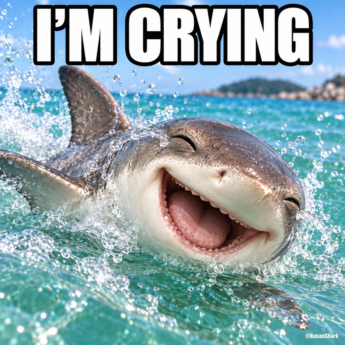 BusanShark's tweet photo. @CookerFlips Rough day. I caught zero fish 🦈 https://t.co/I9L6oicswJ