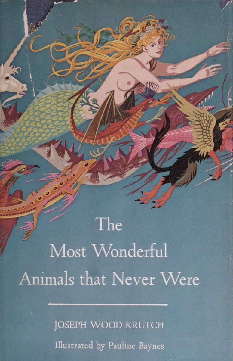 Ioglady's tweet photo. the most wonderful animals that never were illustrated by pauline baynes https://t.co/gJhKGmf18t