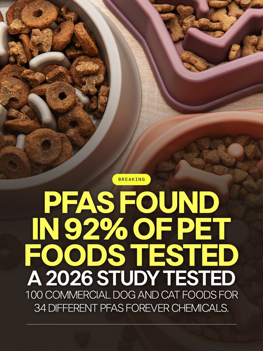 thegarybrecka's tweet photo. PET OWNERS: Check what you’re feeding your pets.

A study THIS YEAR detected PFAS “forever chemicals” in 92% dog and cat food brands. How sad.

We pay attention to what’s in our food and water. We need to start asking the same questions about what’s going into our pets’ bowls every single day. This is exactly why I say: know what you’re consuming. And that includes what you’re feeding your pets.