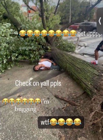no1femalpha's tweet photo. i need to text my gf back but i'm writing think pieces about fem wangxian in the bedroom https://t.co/C6zjYsSLCg