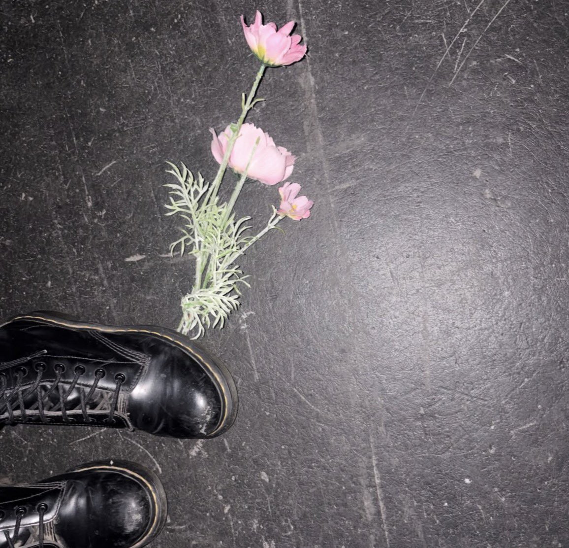 UnraveledTours's tweet photo. Olivia Rodrigo is seemingly hinting flowers on stage for The Unraveled Tour 🌸🌼 https://t.co/AJXejfxOJv