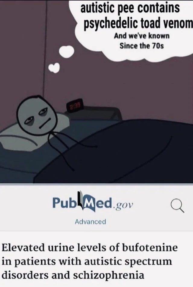 TyrReborn's tweet photo. the autists experience constant micro-ego death, it's why they can be so absorbed in their chosen passion

the outside world literally doesn't exist to them https://t.co/0liKIdWjYn