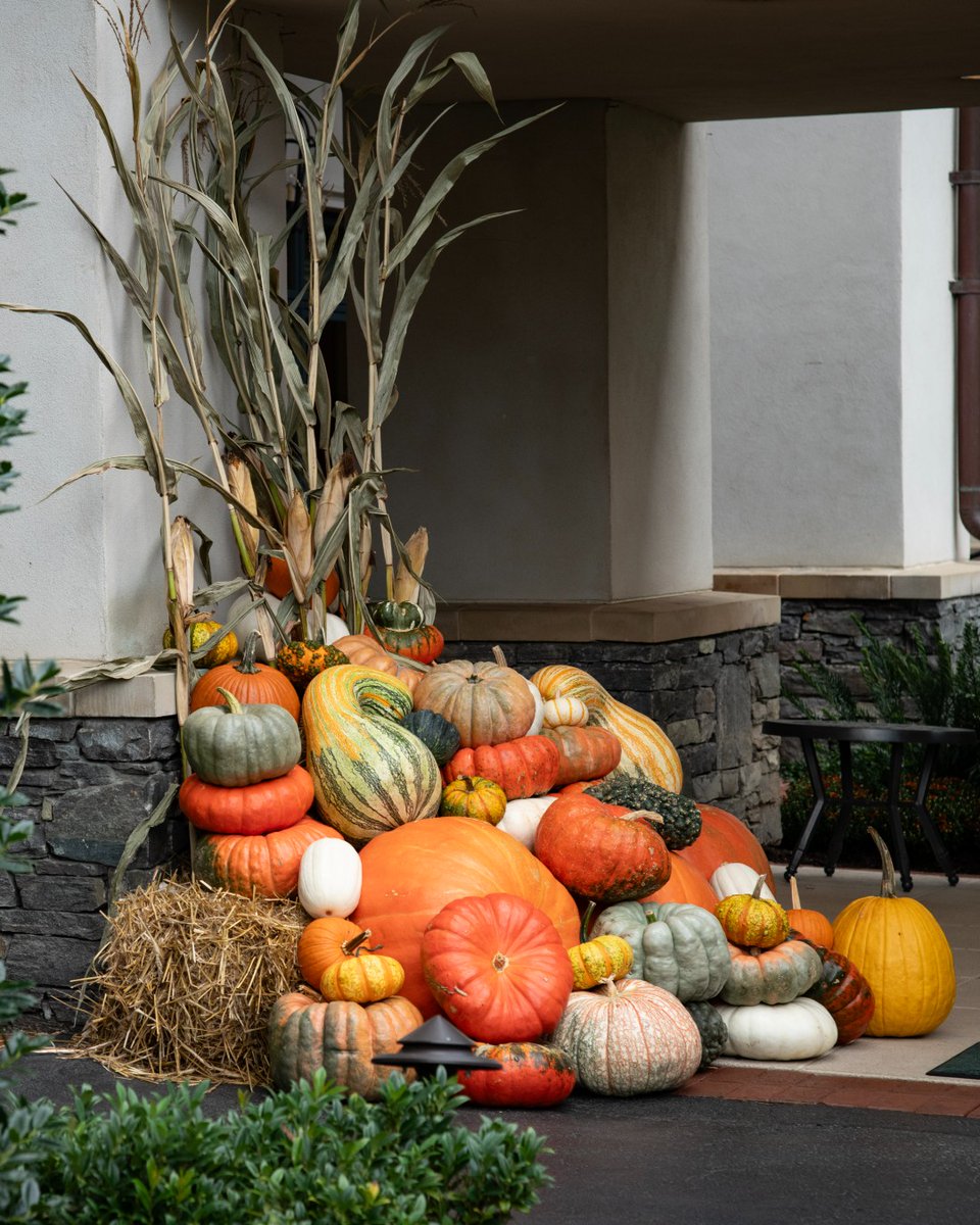 BiltmoreEstate's tweet photo. Plan a fall getaway with us 🍁

Cool mountain temperatures, changing foliage, and a relaxed, resort atmosphere make for the perfect autumnal trip. 

Explore special offers and more: https://t.co/OiUmVyxETQ https://t.co/frERl5bUL7
