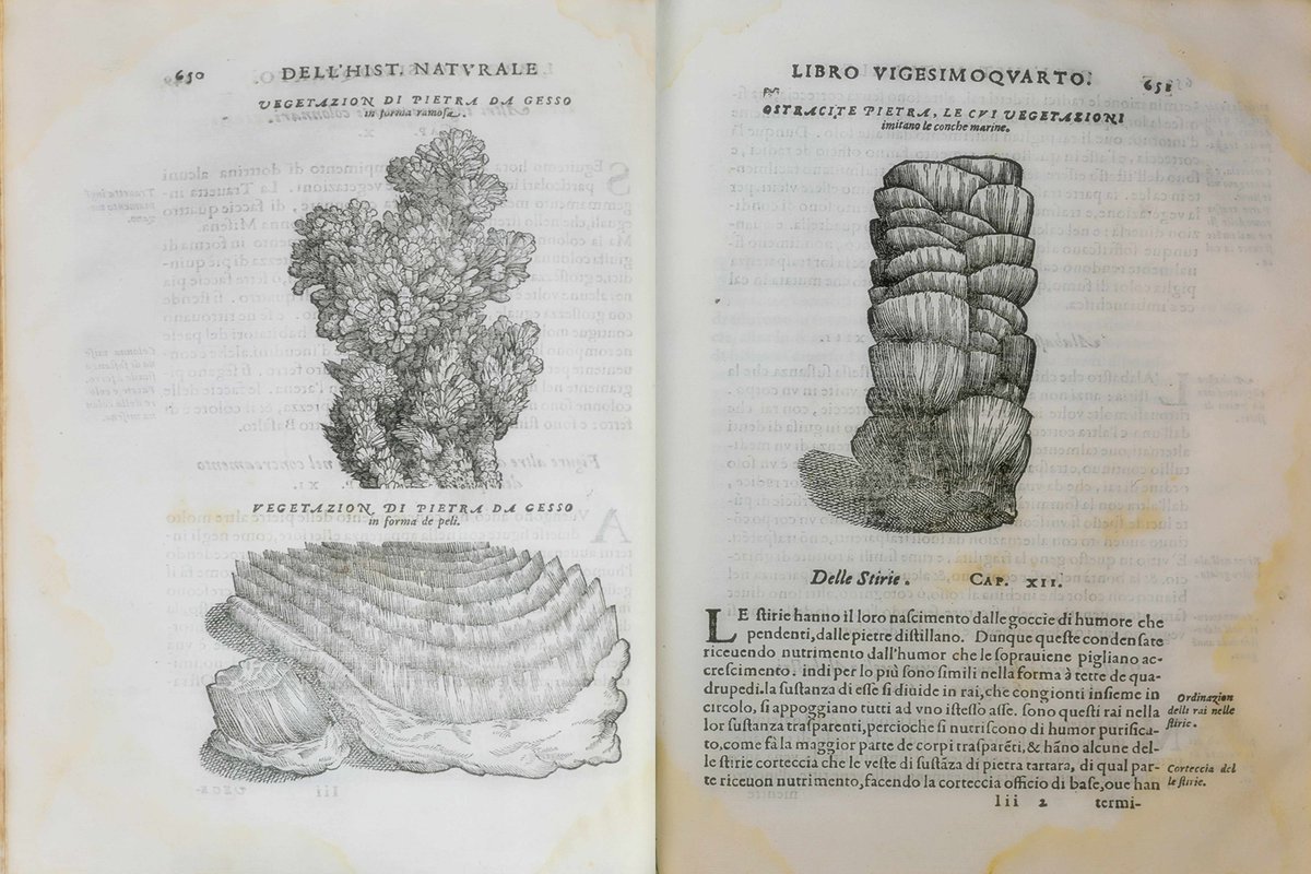 RicardoBSalinas's tweet photo. Hoy en @ColeccionesRSP le platico que, antes de los museos, los naturalistas del Renacimiento intentaban reunir el mundo natural en una sola habitación.

Revisamos la primera edición de Historia Naturale de Ferrante Imperato (Nápoles, 1599). Este libro incluye uno de los registros visuales más antiguos de un "gabinete de curiosidades", mostrando cómo se organizaban los especímenes hace cuatro siglos.

Este mismo principio da origen a la muestra física "Gabinete de Curiosidades", actualmente en la galería de la Universidad de la Libertad.

Los invito a visitarla realizando tu registro previo en: https://t.co/9aTbnzJsm7

Además, ya puedes explorar a detalle este y otros documentos históricos en el nuevo micrositio de mi biblioteca personal: https://t.co/BnOwsrpwrB