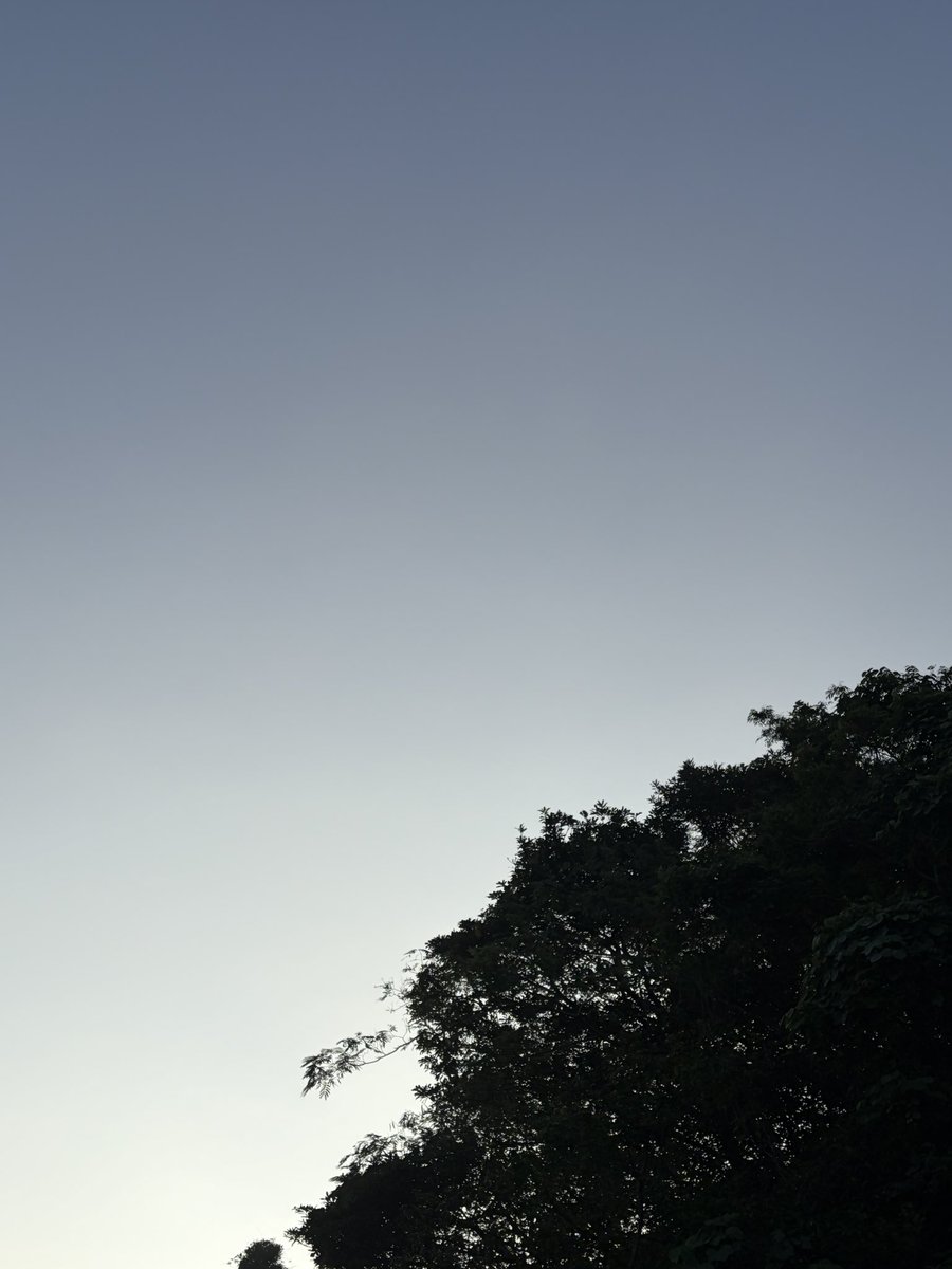 RX7FD3Shim's tweet photo. おはようさんです☀️

9月25日 主婦休みの日🎌
今朝は21.9℃

台風26号の動きが気になるなぁ🌀

今日も良き日に👍
本日もよろしくでーす💖 https://t.co/zXez5LwsJu