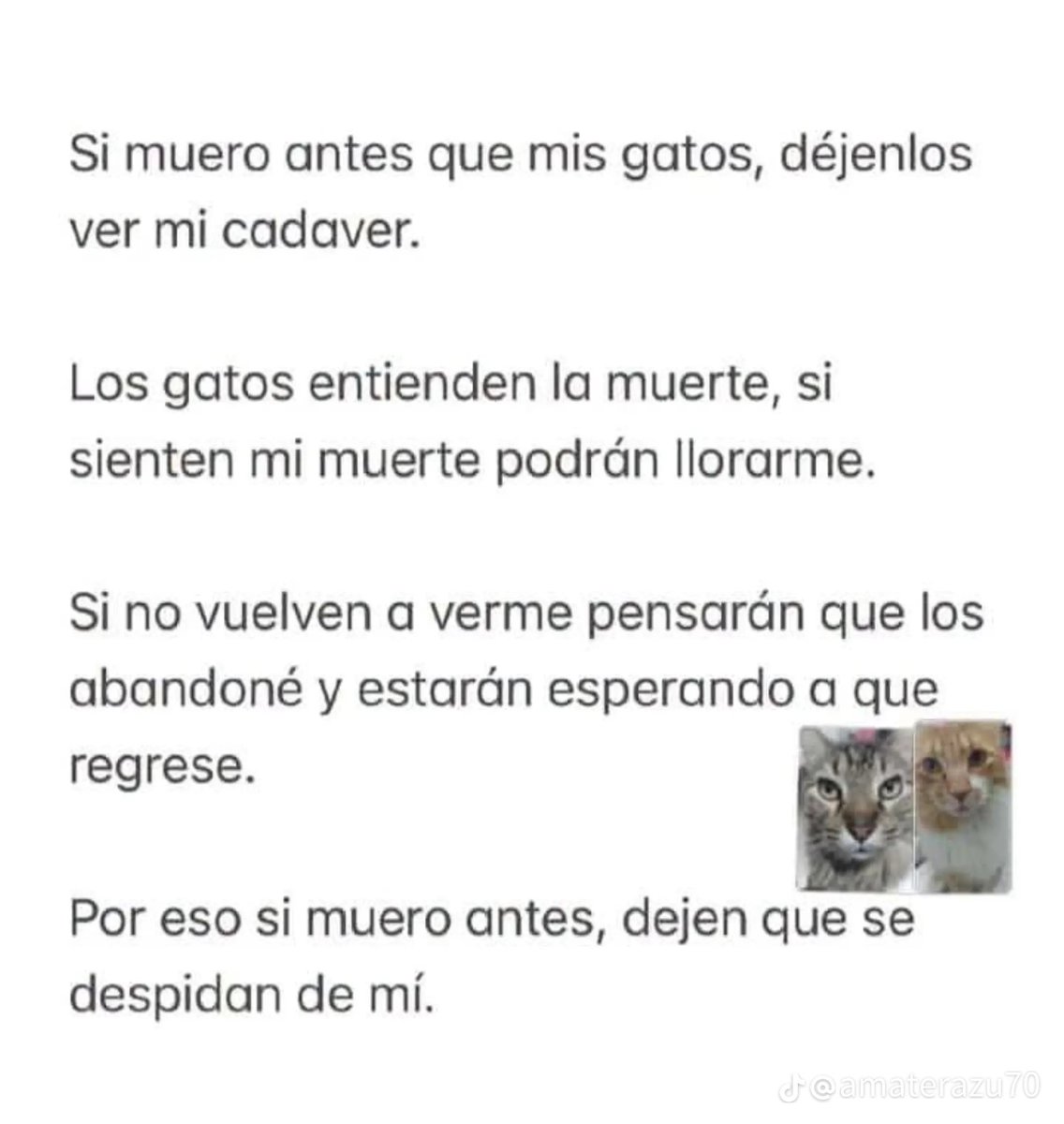SoyIA_'s tweet photo. Lloré leyendo esto 😢😭 https://t.co/gTSXF6DemS