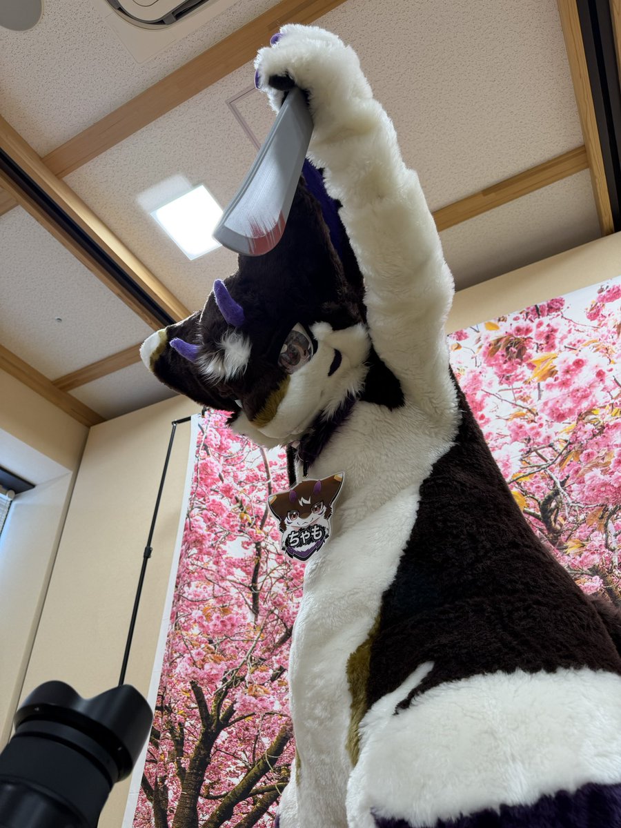 Chamokigu's tweet photo. #お前らの治安悪そうな写真がみたい 
トドメ( ˘ω˘) https://t.co/jqKNMLbLby