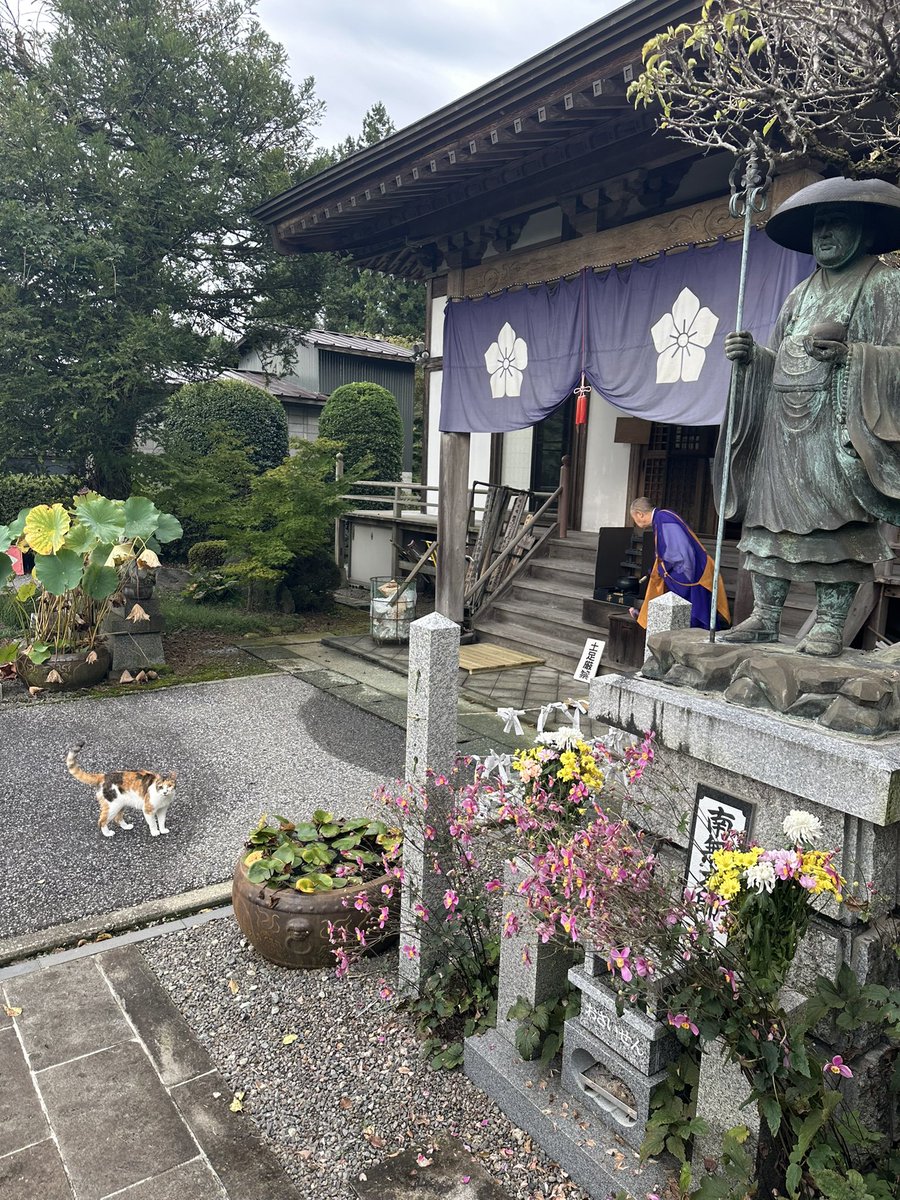 nasu_chourakuji's tweet photo. おはようございます https://t.co/hvPt6vTiKO