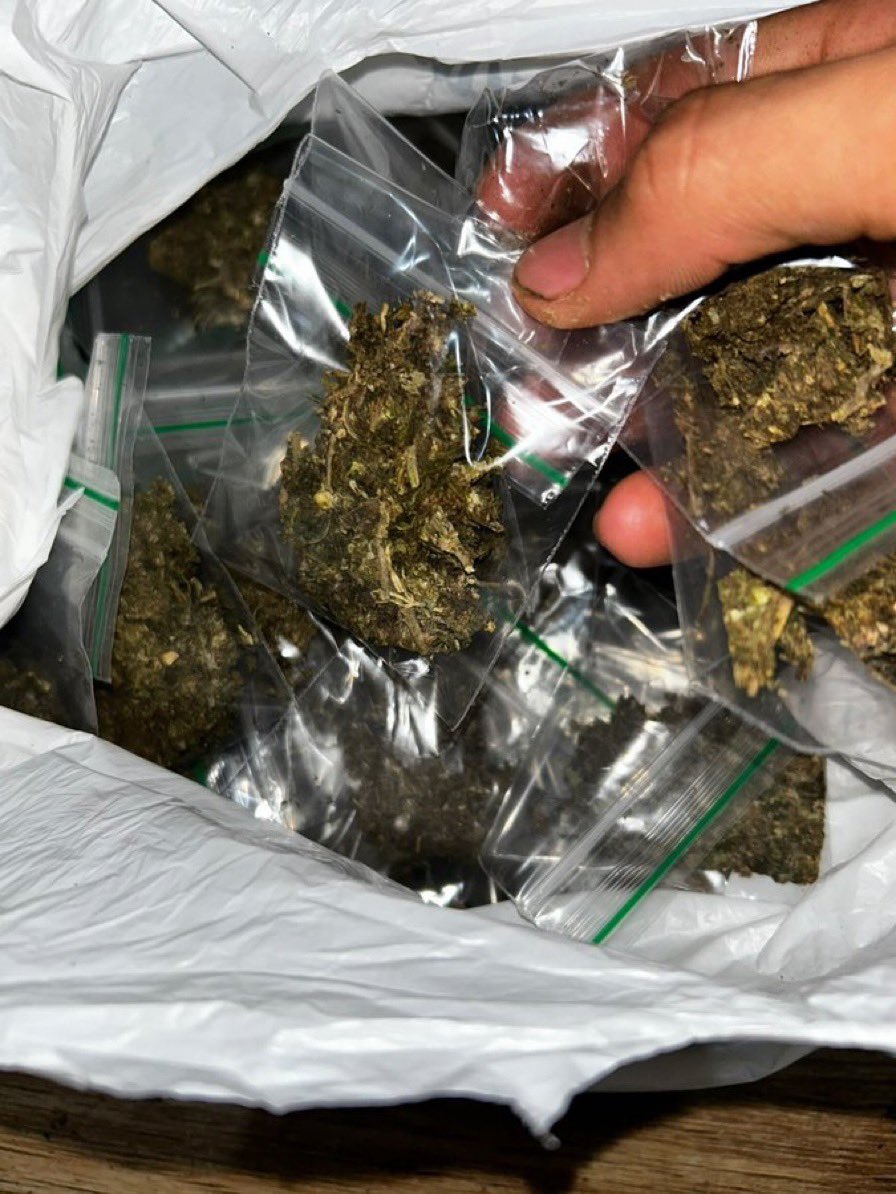 CloudKings5's tweet photo. Shop now 🚨📲 weed Las Vegas weed Reno weed Henderson weed Carson City weed Sparks weed Mesquite weed Elko weed Boulder City weed Fernley weed Fallon weed Winnemucca weed Ely weed Laughlin weed Pahrump weed North Las Vegas https://t.co/BvHSlNXOOR