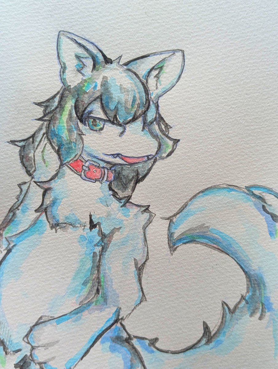 Syungiku_0902's tweet photo. 首輪つけてもらったよ　かわいいね https://t.co/9zIQA0sXZI