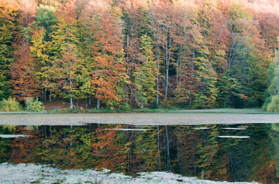 cedric_6ypvc's tweet photo. completely refreshed This is begins disappear, where stress to as your mason credi😌 https://t.co/5MlA0661KI