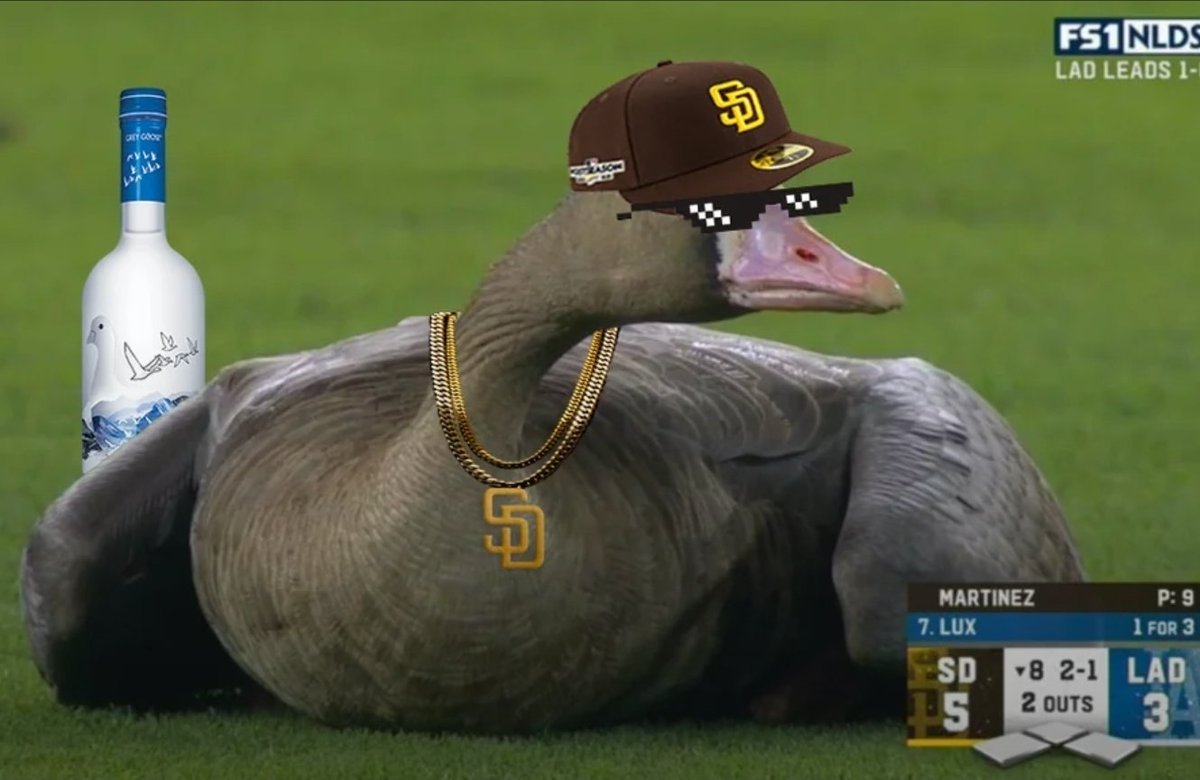 matisyahuu619's tweet photo. @MLB He's back! https://t.co/6kmifUT2K4