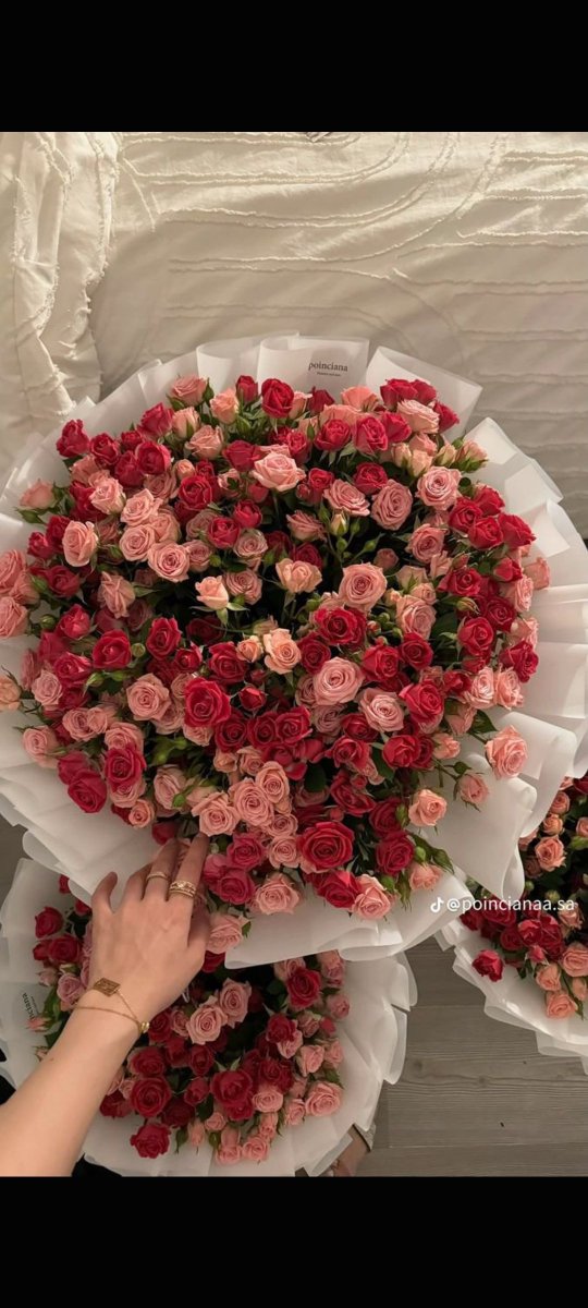 Bloomora80's tweet photo. Beautiful flowers 🌹💐🌸🌷 https://t.co/kgSecTnfMq