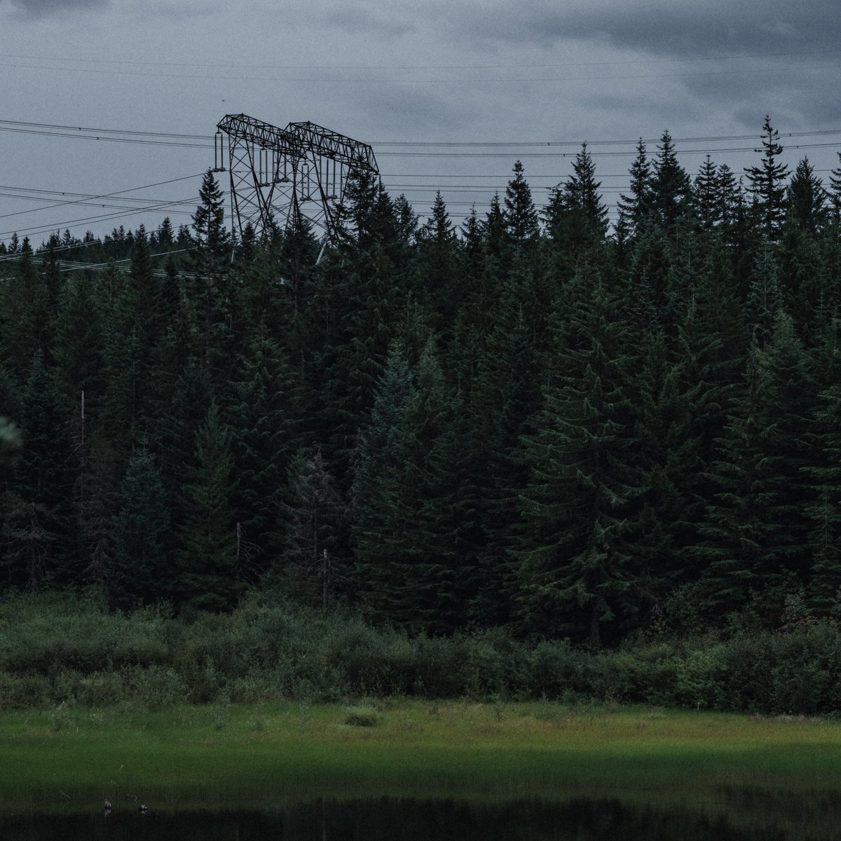 blodgrevinnen's tweet photo. power lines create the perfect juxtaposition of man-made things and the natural world https://t.co/3LOy0iX9I7