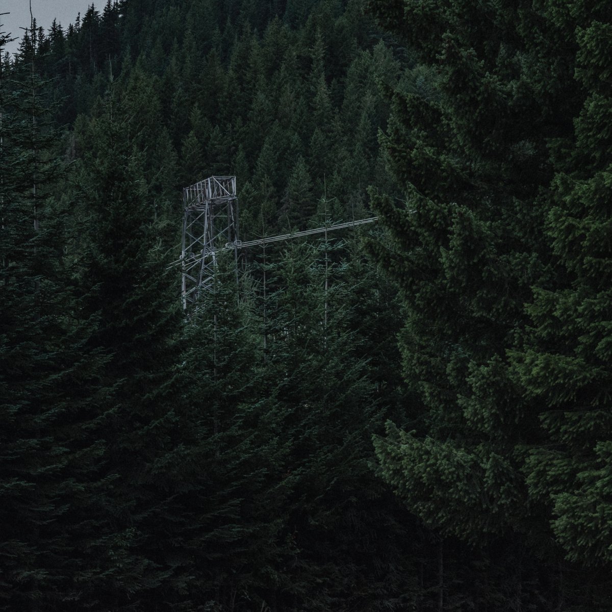 blodgrevinnen's tweet photo. power lines create the perfect juxtaposition of man-made things and the natural world https://t.co/3LOy0iX9I7