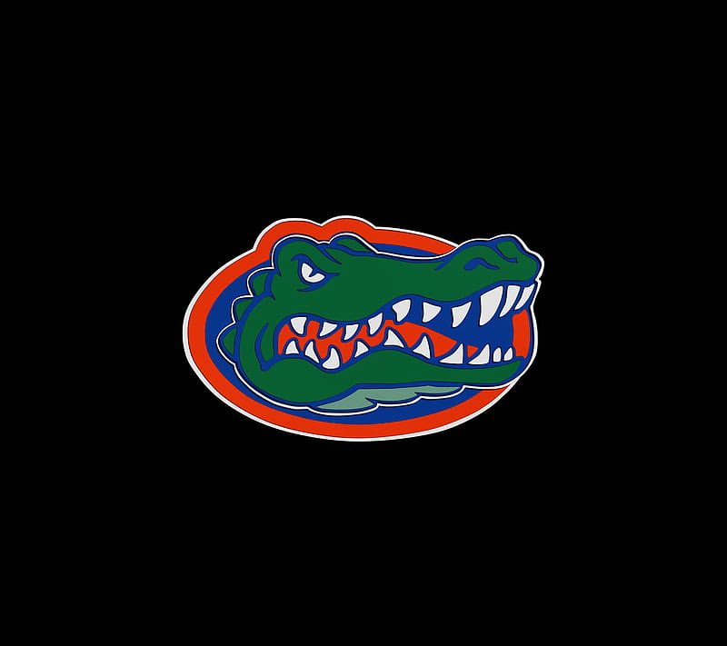 9eraaa_'s tweet photo. I will be at Florida gators vs Ole miss this Saturday ❗️❗️ I can’t wait it’s about to be a movie 💯

@DHughes2FB @ttjharden8 @InsideTheGators @Blake_Alderman @NeilRuth_ @BrockMoskowitz @ZBlostein247 @ChadSimmons_ https://t.co/ZQ6O5aMnCl