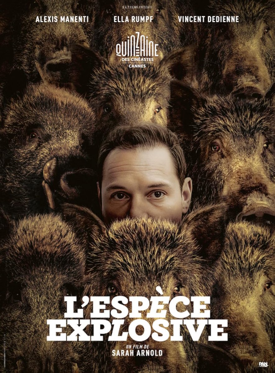 Mister_ig's tweet photo. Dans cette étrange campagne ravagée de sangliers, le mystère est secondaire, ce qui se joue face à nous, c’est le rapprochement de ses 2 oiseaux de mauvais augures, paumés, blessés, estropiés par la vie, dans un sens de l’humour noir et de malaise volontaire. #LEspeceExplosive https://t.co/U6WpRkfw4E