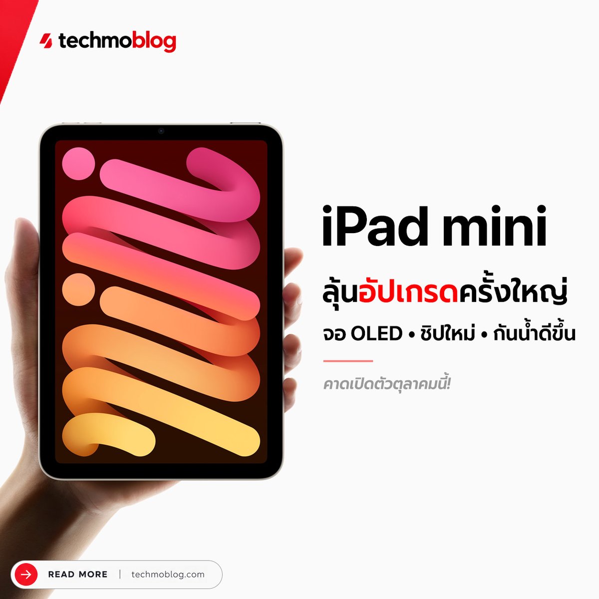 TechmoBlog's tweet photo. iPad mini รุ่นใหม่ ใกล้เปิดตัว! คาดอัปเกรดครั้งใหญ่ จอ OLED ชิปใหม่ กันน้ำดีขึ้น

https://t.co/05jp6p5mxI

#iPadmini #iPadmini8 #apple https://t.co/M221y6lVk7