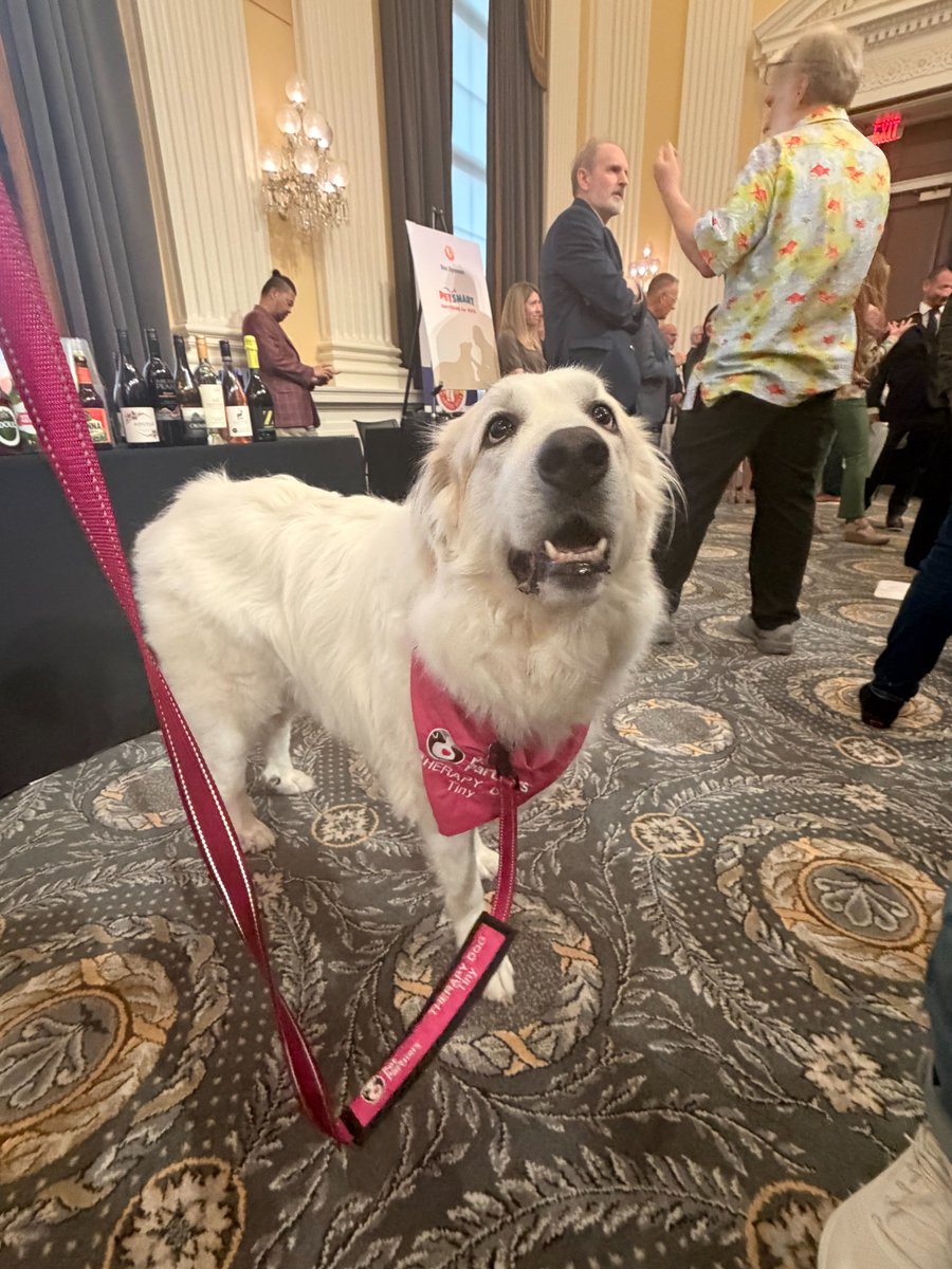 AVMACAN's tweet photo. Last week, the AVMA attended Pet Night during #PetWeekonCapitolHill. Hosted by @HABRITweets, advocacy staff celebrated the importance of pet ownership for human health and well-being with lawmakers, congressional staff, other allies of the profession, and a few furry friends. https://t.co/qs4spjoXgb