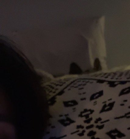 cal1mielmerry's tweet photo. ห๋า าาา หูแมว ? น้องธีเลี้ยงแมวหลออ https://t.co/p1CWKeKEGr