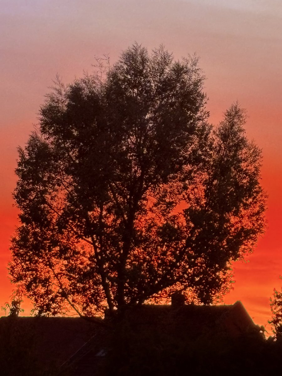 LifeLife02000's tweet photo. C.🧡🧡🧡🧡✨ https://t.co/wA7pmhe1i3