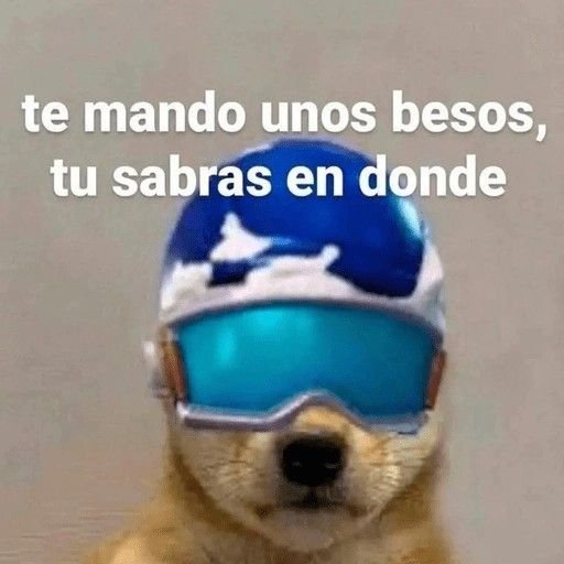 cheemstercero's tweet photo. Buenas tardes. https://t.co/68ljpgzK5M