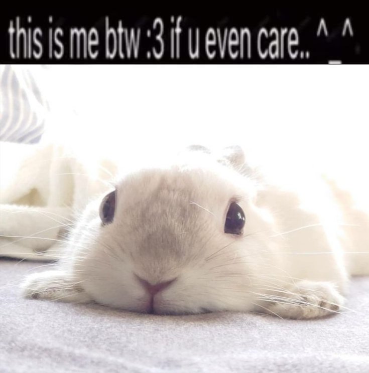 sweetangelette's tweet photo. https://t.co/SLHD4WRuaG