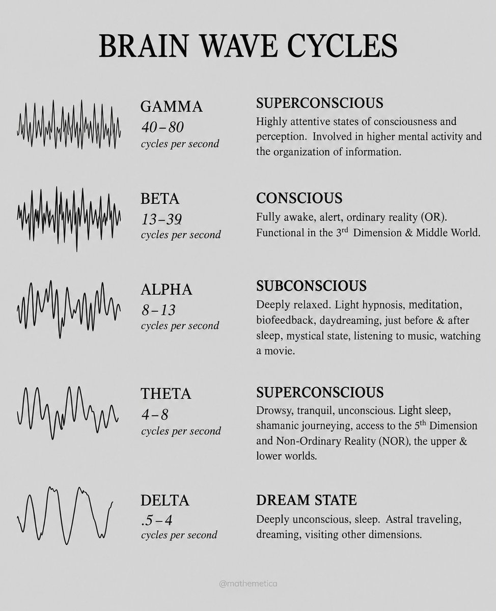 mathemetica's tweet photo. A rhythm near ten cycles each second.

Hans Berger first captured that 8–13 Hz oscillation from the human scalp in 1924 and later named it alpha. When the eyes close, posterior cortex often locks into the band; opening them or sharpening thought replaces it with faster beta and gamma activity, while sleep deepens the trace into theta and delta. A single voltage time-series therefore contains several nested timescales at once.

The Fourier integral
X(f) = ∫ x(t) e^{−2π i f t} dt
separates those tempos, revealing which frequencies currently dominate cortical coordination.