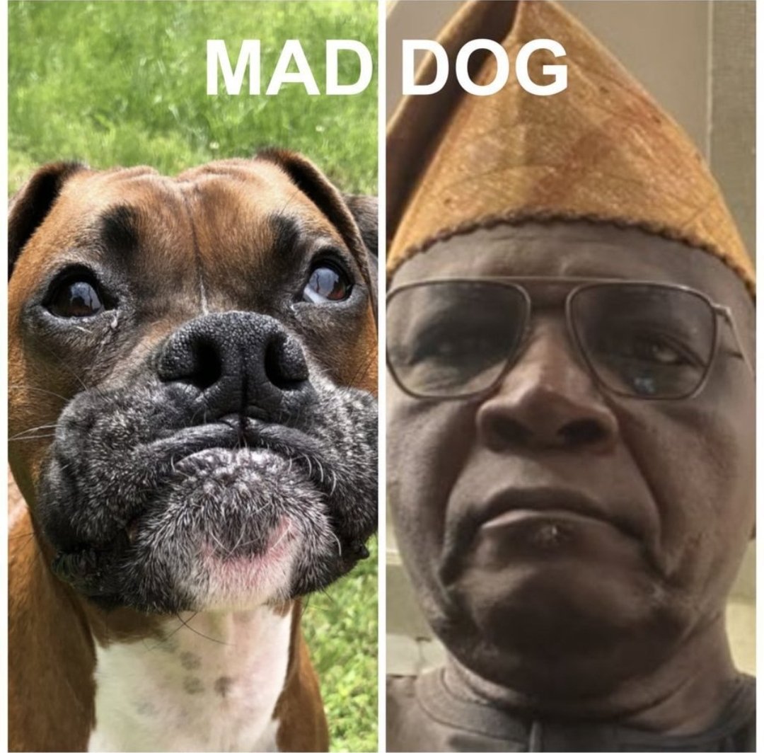 mickoly's tweet photo. Howfar? @aonanuga1956 Let Tinubu go, Oil subsidy stay. https://t.co/Hh4guBFHCa