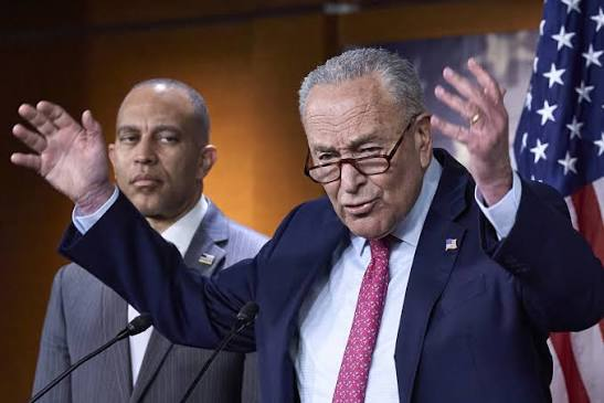 Senator Chuck Schumer gestures passionately while speaking at a press conference, with an American flag visible behind him, in response to criticism of Trump's reception of Xi Jinping. The image captures Schumer in a moment of emphatic dialogue, aligning with the quoted text about the challenges of confronting authoritarian leaders.