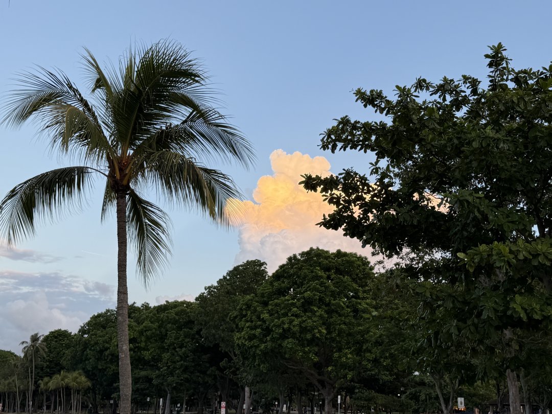 Wave1LIVE's tweet photo. The sky gradually brightens; this is perhaps the most beautiful moment of the morning https://t.co/3lKNWJptxI