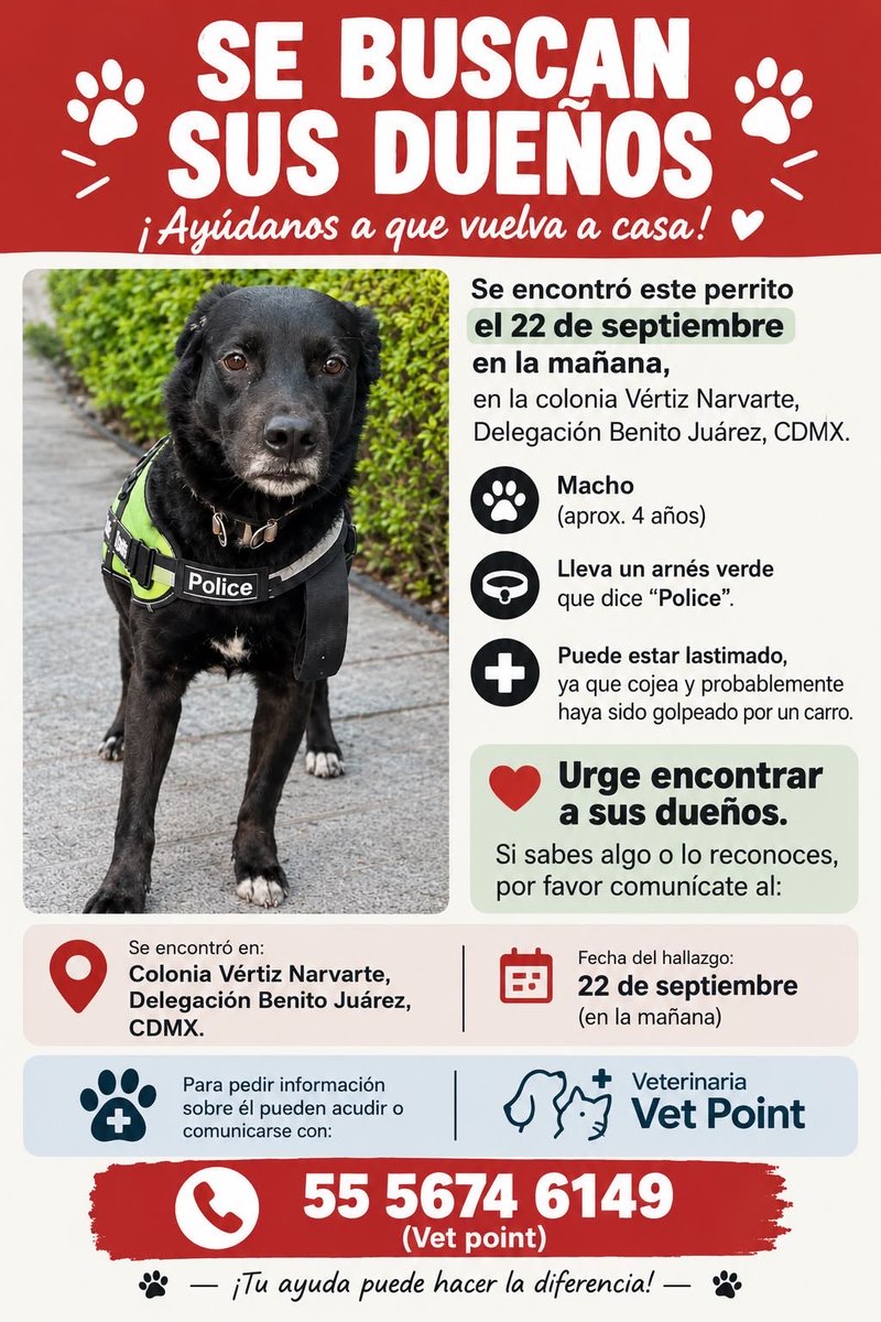 IsabelJunco's tweet photo. @En_laDelValle  @coldelvallecdmx  @EnlaNapolesBJ  @InsugenSanBorja  @parquehundido  @ParqueArboledas  @ParqueVenados  @InsMixcoac  @MixcoacCDMX  @NarvarteVecinos https://t.co/sfHFrPKMWH