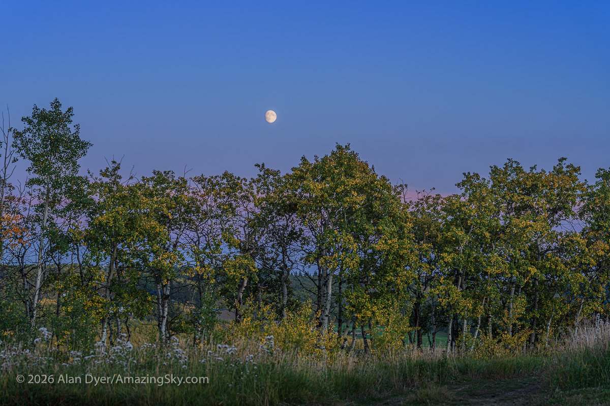 amazingskyguy's tweet photo. It was a fine evening, on the first day of autumn, to be in the Alberta foothills, for sunset and moonrise. These were from the @RAOastronomy Observatory on a special "open house" night just for members of the @CalgaryRASC. A good time was had by all! https://t.co/UFzGsQd6WZ